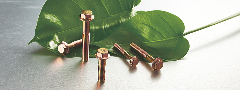 Color Zinc Hex Flange Step Bolt and Nut and Nut for Automobile Seat Safety Belt